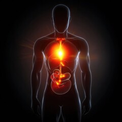 Poster - Glowing human torso with illuminated red focal point in stomach area showing vibrant internal energy and anatomy details. Generative AI