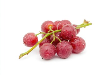 Poster - Fresh grapes arranged on a clean white background