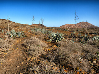 Poster - Fuerteventura