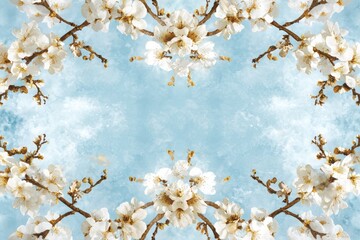 Poster - Delicate floral repeat design tranquil nature scene elegant blossom arrangement symmetrical composition soft blue background aesthetic art