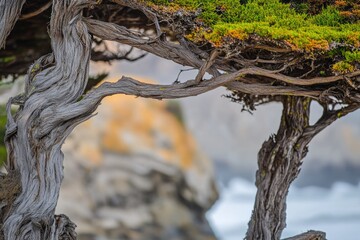 Poster - A close-up shot of a tree trunk surrounded by calm water, great for nature-inspired designs