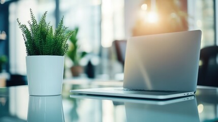 Poster - Modern office workspace with a glass desk, stylish chair, laptop, and potted plant on a bright wooden floor under soft natural lighting. Ample negative space for overlays.