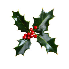 Wall Mural - a sprig, three leaves, of green holly and red berries for christmas decoration isolated against a tr