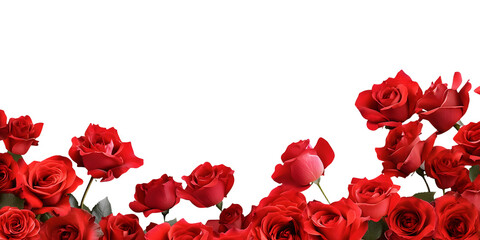 Wall Mural - red roses frame border for text and design with copy space, isolated on a transparent background. pn