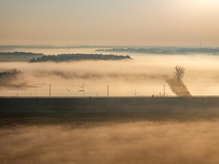 Wall Mural - Sunrise and fog in rural forest