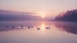 © Naufal - A flock of mute swans gliding gracefully across a calm lake at sunrise