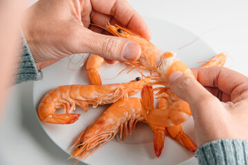 Wall Mural - man about to eat a cooked prawn