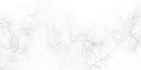 Poster - abstract gray veins: an ethereal image featuring delicate, gray veins spreading across a pristine wh