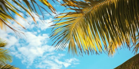 Sticker - Coconut leaves in vibrant green hues against a bright blue sky with soft white clouds creating a tropical paradise atmosphere.