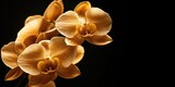 Golden orchid bouquet prominently displayed on left side against a sleek dark background, elegant composition highlighting floral beauty and luxury.