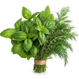 basil and herbs