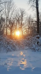 Aufkleber - In a serene winter scene, the sun rises, casting golden rays through the trees, illuminating the snowy ground blanketed in fresh snow. The tranquil atmosphere invites peace