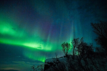 aurora borealis northern lights, lapland, winter landscape majestic northern lights dance in starry 