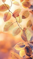 Poster - Soft glowing edges highlight golden leaves in a tranquil autumn setting