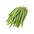 © HKTArt4U - Fresh Green Beans Harvest Bunch - Organic Vegetable Produce