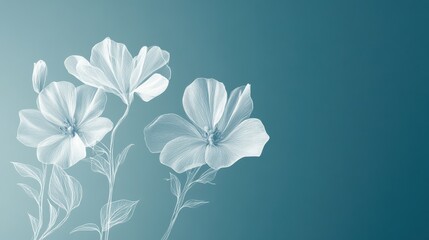 Poster - Soft white floral sketches on a calming blue background create an elegant and minimalistic atmosphere for any modern space