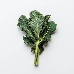 Poster - Fresh bunch of green kale leaves lying flat on a clean surface ready for meal preparation