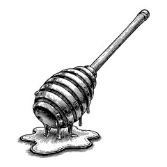 Wall Mural - honey dipper with dripping honey detail in black and white outline line art drawing