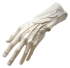 Poster - white marble hand with delicate carvings, showcasing intricate details and smooth texture, isolated on transparency background