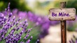 © Raitalinn - Beautiful Lavender Field with Wooden Signpost Asking to Be Mine