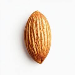 Poster - Single roasted almond showcasing a smooth golden surface against a simple background