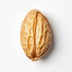 Poster - Single roasted peanut in shell displayed on a neutral background highlighting its texture and color