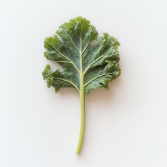 Poster - Fresh curly kale leaf showcasing vibrant green color and detailed texture on a neutral background
