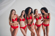 © deagreez - Photo of gorgeous young ladies friends hugging posing wear red lingerie isolated white wall studio background no retouch