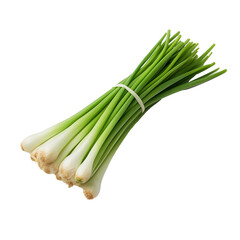 Wall Mural - bunch of fresh green onions