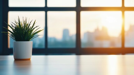 Poster - Potted plant resting on desk in empty office overlooking city skyline at sunset