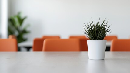 Aufkleber - Small plant decorating modern white office meeting table
