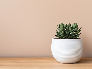 Aufkleber - Succulent plant adding a touch of nature to minimalist office desk