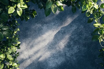 Poster - Green leaves framing empty concrete background with sunlight