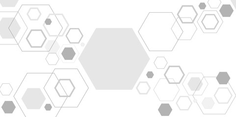 Wall Mural - Abstract white and grey hexagon technology geometric pattern concept white background. Use for template, wallpaper, website vector illustration.