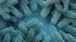 © King558 - Close-up of snow-covered fir tree branches in winter wonderland
