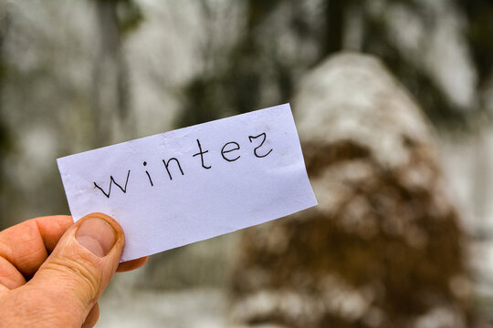 winter inscription on the background of a snowy park