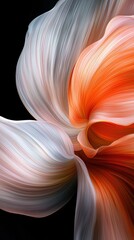 Poster - Vibrant brushstrokes creating soft motion blur abstract art digital artwork black background close-up view visual concept