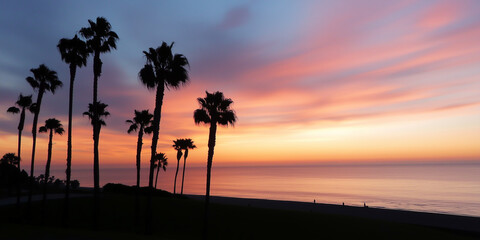 Tropical paradise palm tree seashore. Sunny sand coast beach sea ocean landscape. Pink orange sky clouds travel holidays view video