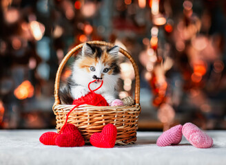 Sticker - cute little kitten playing with ball of yarn in basket next to knitted hearts on glittery background