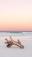 Aufkleber - Driftwood lies on a pristine sandy beach as gentle waves roll in under a soft pastel sunset sky, creating a serene and relaxing holiday atmosphere