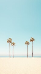 Aufkleber - Four palm trees are growing on a tropical sandy beach with calm ocean and clear blue sky in the background, creating a serene and idyllic vacation scene