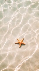 Poster - Sunlight streaming through the water creates enchanting ripple patterns on the sandy seabed, where a starfish rests peacefully, enhancing the serene underwater seascape