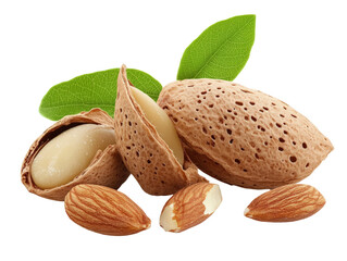 Isolated Almonds with Leaf, Healthy Food