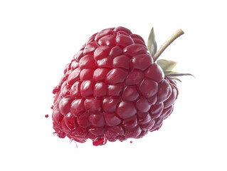 Isolated Fresh Raspberry Closeup