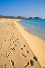 Wall Mural - footprints on the beach