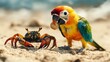 © Emma - A stuffed parrot sharing a tiny snack with a crab on the sandy shore