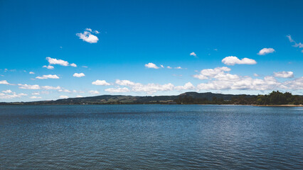 Wall Mural - Rotorua lake beautiful sunny clear day blue sky green grass calm still architecture tourism 