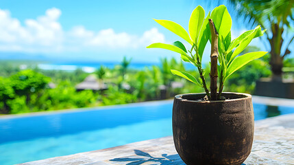 Poster - A serene plant sits in a pot beside a tranquil pool, surrounded by lush greenery and a picturesque view of the ocean and sky