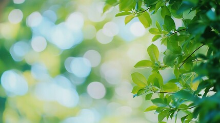 Wall Mural - Beautiful Spring Nature Background with Blurred Green Leaves