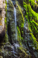 Wall Mural - A waterfall with green moss growing on it